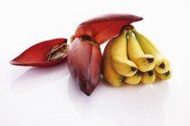 Бананы и банановый цветок — стоковое фото