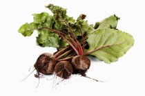 Fresh picked beetroots with leaves — Stock Photo