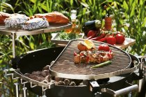 Barbecuing out of doors — Stock Photo