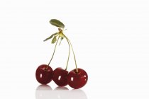 Red cherries on stalks — Stock Photo