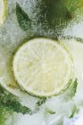 Limes et feuilles de menthe en bloc de glace — Photo de stock