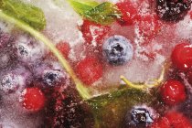 Mixed berries in block of ice — Stock Photo