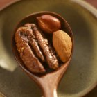 Spiced Pecan on Spoon — Stock Photo
