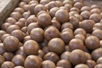 Noix de macadamia non décortiquées — Photo de stock