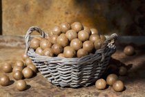 Unshelled macadamia nuts — Stock Photo