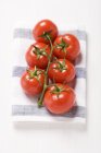 Червоні помідори на винограднику — стокове фото