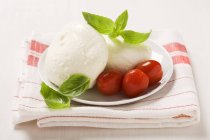 Mozzarella con foglie di basilico e pomodori — Foto stock
