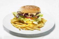 Hamburger und Pommes frites — Stockfoto