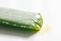 Aloe vera leaf — Stock Photo