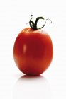 Roma red tomato — Stock Photo
