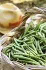 Fresh picked green beans — Stock Photo
