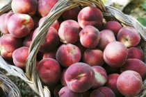 Basket of ripe peaches — Stock Photo