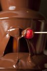 Nahaufnahme von Schokoladensoße mit Erdbeere auf Zahnstocher — Stockfoto