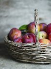 Fresh ripe Plums in basket — Stock Photo