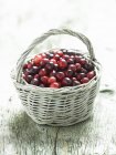 Cesta de cranberries frescos — Fotografia de Stock