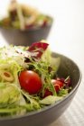 Gemischter Salat in schwarzer Schüssel — Stockfoto