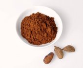 Cacao in polvere e fave di cacao — Foto stock