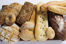 Various types of bread — Stock Photo