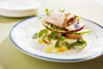 Cheese and watercress salad — Stock Photo