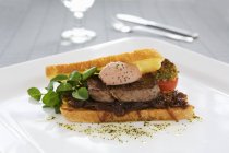 Bistecca e cipolla sandwich — Foto stock