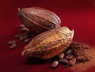 Fave di cacao e polvere — Foto stock