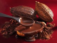 Salsa de chocolate y cacao - foto de stock