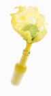 Sumo de limão salpicando para fora da garrafa — Fotografia de Stock
