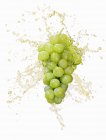 Uvas verdes con zumo salpicante - foto de stock