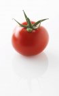 Un tomate rojo - foto de stock