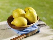 Citrons frais mûrs — Photo de stock