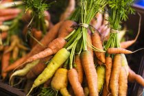 Manojos de zanahorias frescas - foto de stock