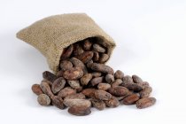 Какао-боби випадають з джутового мішка — стокове фото
