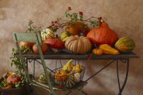 Fresh pumpkins with flowers — Stock Photo