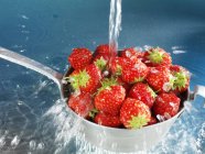 Washing strawberries in sieve — Stock Photo