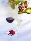 Verser du vin blanc dans un verre — Photo de stock