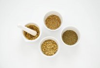 Spices in small dishes — Stock Photo