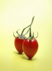 Paire de tomates rouges — Photo de stock