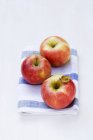 Manzanas rojas frescas - foto de stock