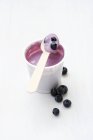 Blueberry yoghurt in pot — Stock Photo
