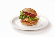 Chicken satay burger — Stock Photo