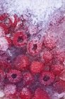 Frozen raspberries in ice block — Stock Photo