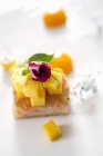 Primo piano vista di rosa minuscola su fette di mango e gamberetti — Foto stock