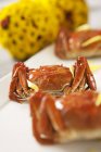 Closeup view of three boiled crabs on white platter — Stock Photo