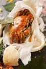 Closeup view of grilled crab with basil and bread pieces — Stock Photo