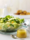 Крупним планом вид змішаного листового салату з апельсином і фенхелем — стокове фото