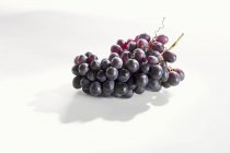 Bouquet de raisins rouges — Photo de stock