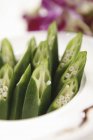 Crisp cucumber on white plate — Stock Photo