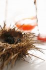 Closeup view of stuffed sea urchin half — Stock Photo