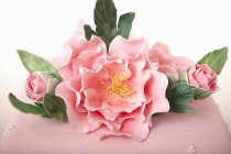 Nahaufnahme von Fondant-Kuchen mit süßen Blüten und Blättern — Stockfoto