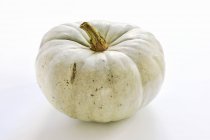 Fresh white pumpkin — Stock Photo